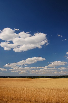 Consquences pour l'environnement